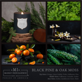 Black Pine & Oak Moss, Signature Collection, 15 oz