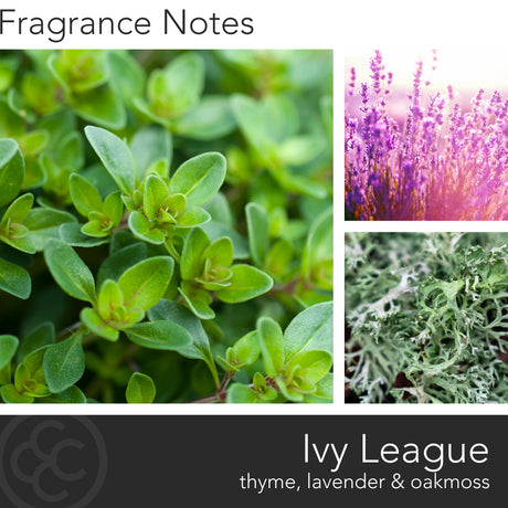 Manly Indulgence Classic collection Ivy League Candles