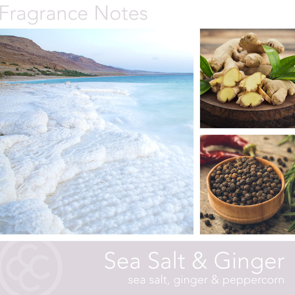 Sea Salt & Ginger, Signature Collection, 15 oz