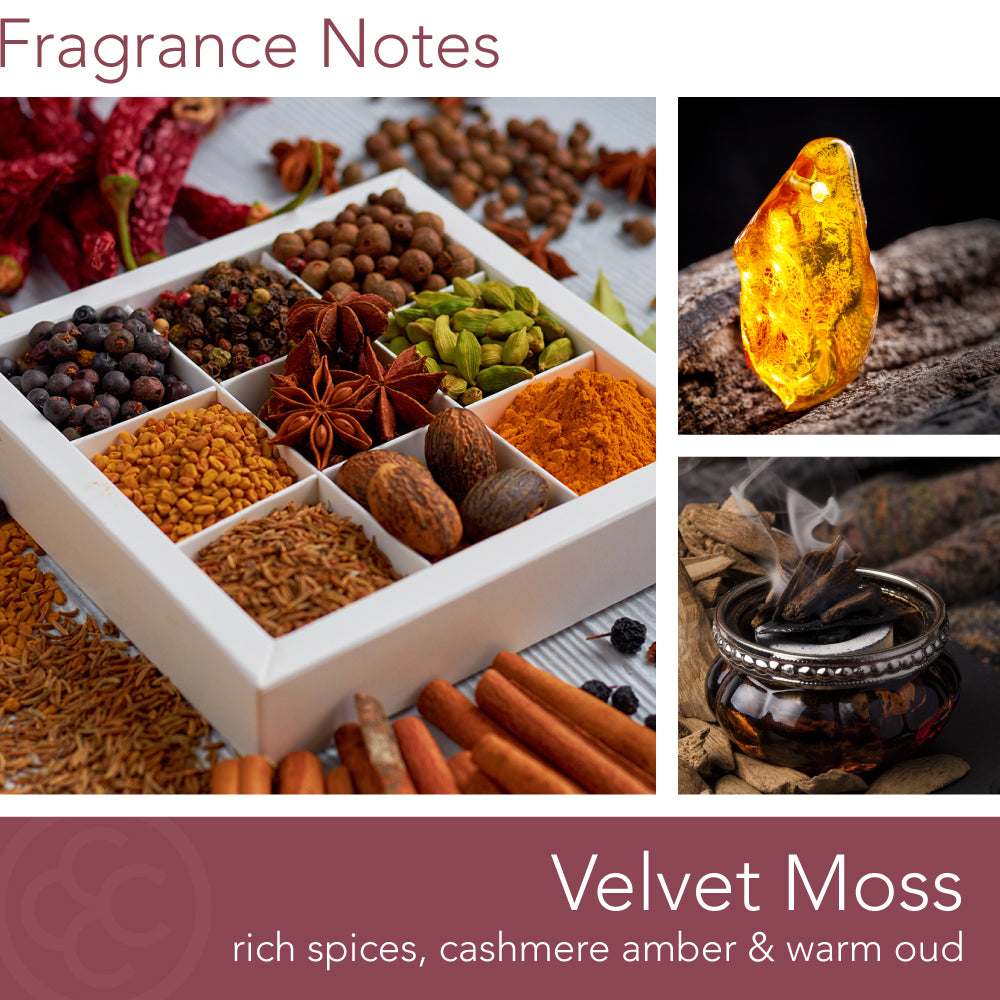 Sophisticated Collection, Velvet Moss, 22 oz