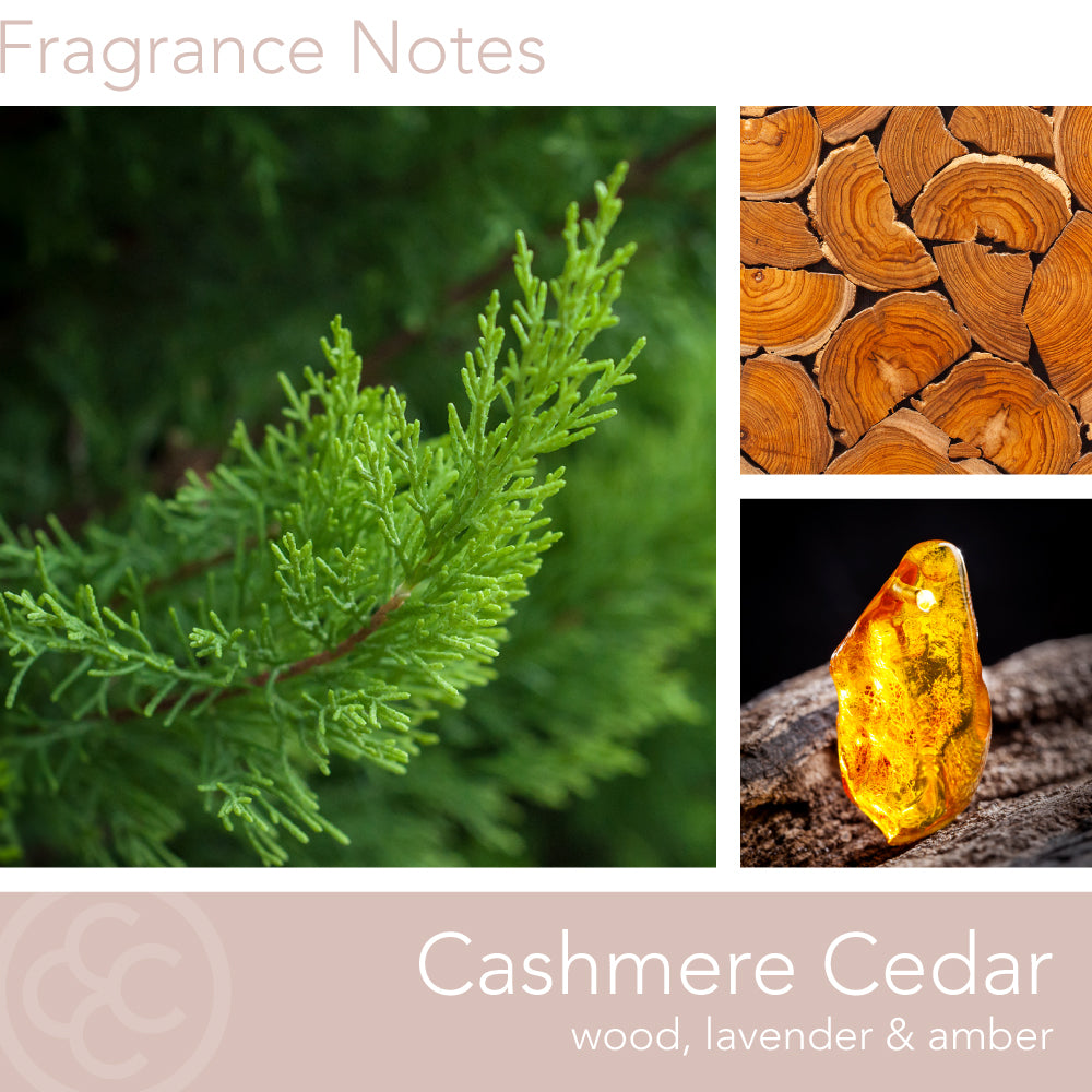 Sophisticated Collection, Cashmere Cedar, 22 oz