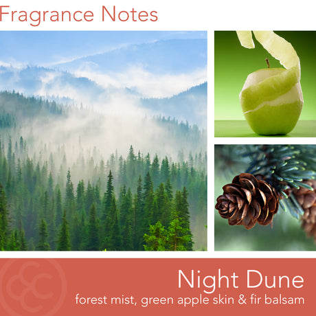 Manly Indulgence Adventure Collection, Night Dune, 15 oz