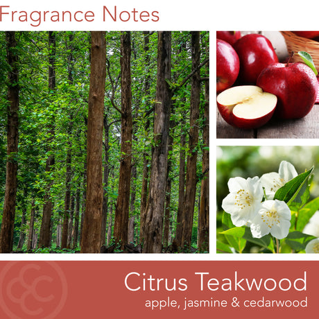 Manly Indulgence All American Citrus Teakwood candle
