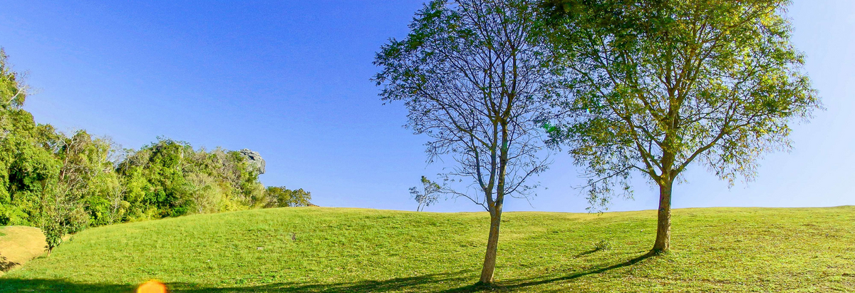 Spring Scents – Manly Indulgence Candles