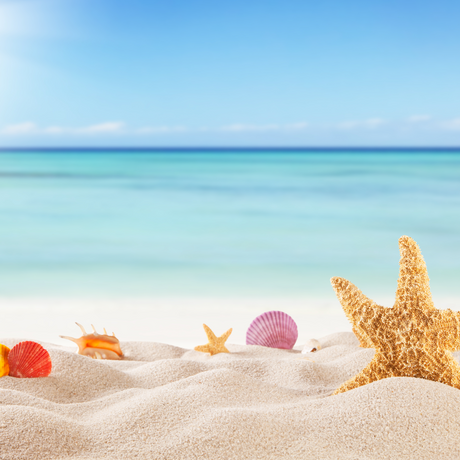 Summer Fragrances