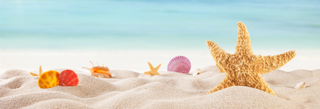 Summer Scents