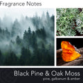 Signature Collection, Black Pine & Oak Moss, 15 oz