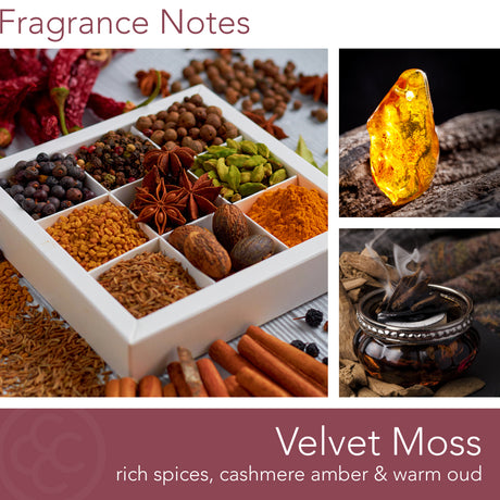 Sophisticated Collection, Velvet Moss, 22 oz