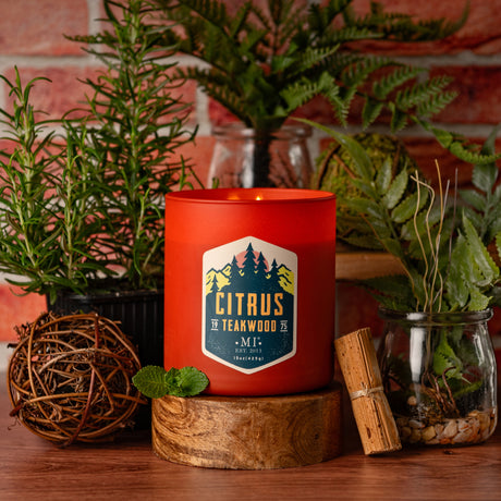 Manly Indulgence All American Citrus Teakwood candle